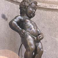 Système urinaire